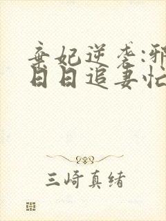 弃妃逆袭:邪王日日追妻忙电子版