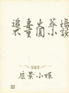 追妻火葬场破镜不重圆小说封面