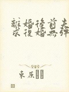 离婚后前夫哭着求复婚无弹窗免费阅读