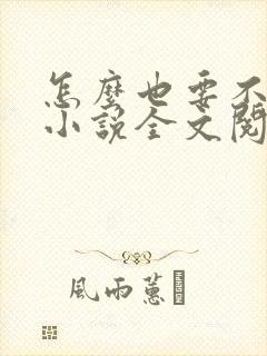 怎么也要不够她小说全文阅读封面