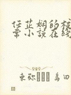 任芷娴的校花日常小说在线阅读封面