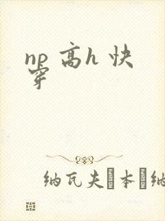 np 高h 快穿