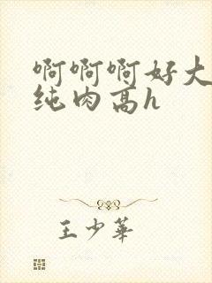 啊啊啊好大不要纯肉高h