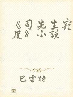 《司先生宠妻无度》小说