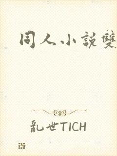 同人小说双男主