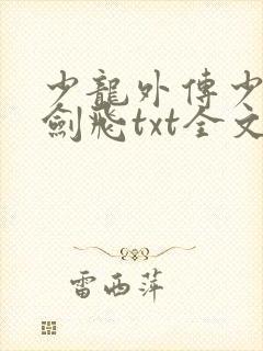 少龙外传少年龙剑飞txt全文免费阅读