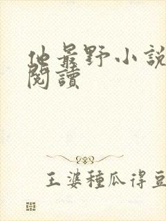 他最野小说免费阅读封面