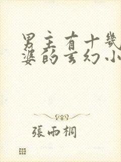 男主有十几个老婆的玄幻小说