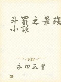 斗罗之最强赘婿小说