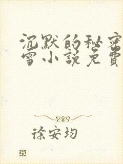 沉默的秘密宋小雪小说免费阅读
