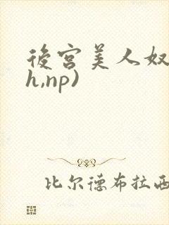 后宫美人奴(高h,np)