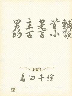 男主是首辅重生的古言小说封面