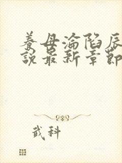 养母沦陷辰辰小说最新章节更新内容