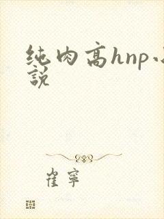 纯肉高hnp小说