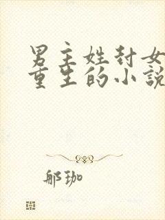 男主姓封女主是重生的小说封面