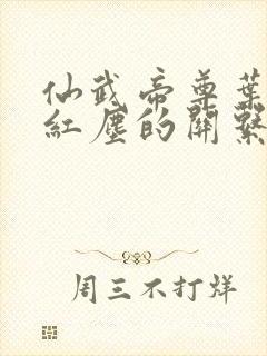 仙武帝尊叶辰与红尘的关系