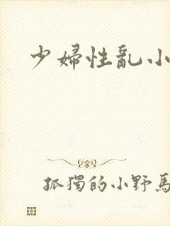 少妇性乱小说