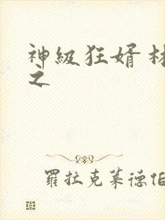 神级狂婿 林平之