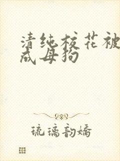 清纯校花被调教成母狗