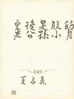 皇后是朕的黑月光公孙小月