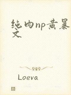 纯肉np黄暴h文