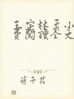 王宇林柔小说免费阅读全文最新章节