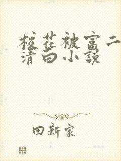 校花被富二代毁清白小说封面