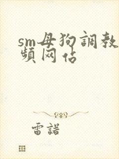 sm母狗调教视频网站