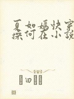 夏如嫣快穿之节操何在小说免费阅读