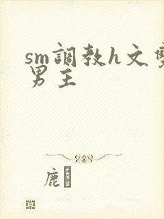 sm调教h文双男主