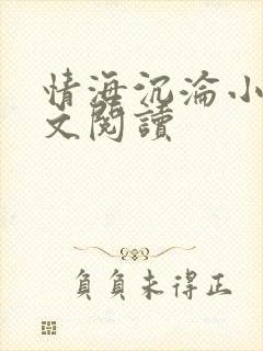 情海沉沦小说全文阅读封面