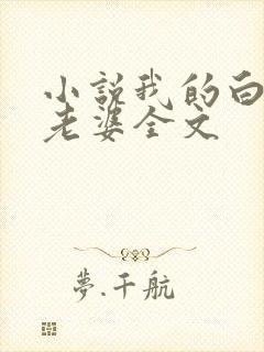 小说我的白富美老婆全文