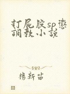 打屁股sp惩罚调教小说