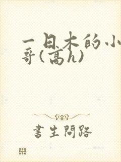 一日木的小说哥哥(高h)