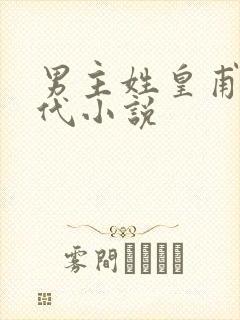 男主姓皇甫的古代小说封面