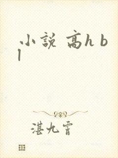 小说 高h bl