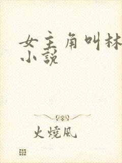 女主角叫林茉的小说