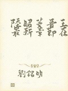 陆昭菱晋王小说最新章节在线阅读