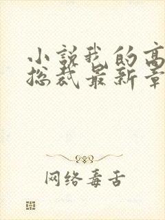 小说我的高冷女总裁最新章节封面