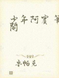 少年阿宾 笔趣阁