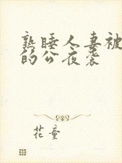 熟睡人妻被讨厌的公夜袭