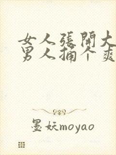 女人张开大腿让男人捅个爽封面