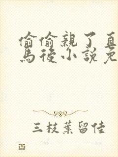 偷偷亲了直男竹马后小说免费阅读