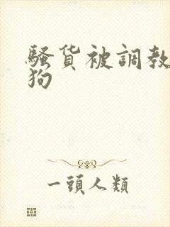 骚货被调教成母狗