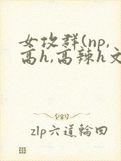 女攻群(np,高h,高辣h文)
