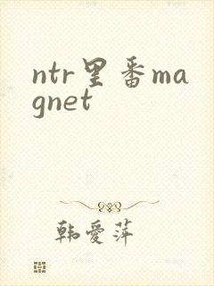 ntr里番magnet封面