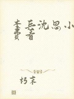 李兵沈思小说免费看