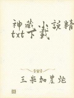 神藏小说精校版txt下载