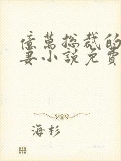 亿万总裁的隐婚妻小说免费阅读