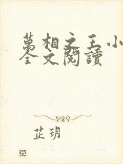 万相之王小说 全文阅读